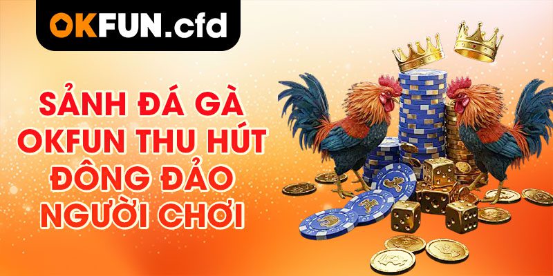 Sảnh đá gà OKFUN thu hút đông đảo người chơi